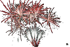 Fireworks display by Chrome Fireworks